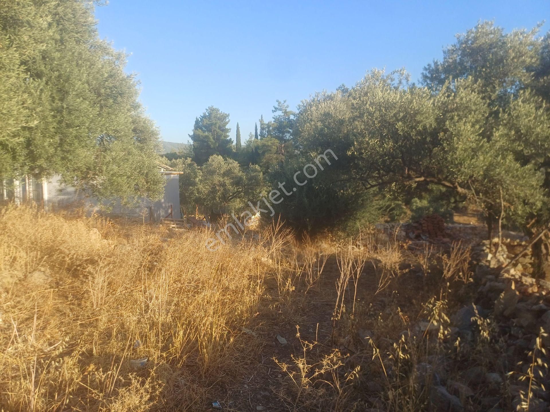 Milas Kazikli Mahallesinde Konut+ticari İmarlı Arsa - Görsel 6