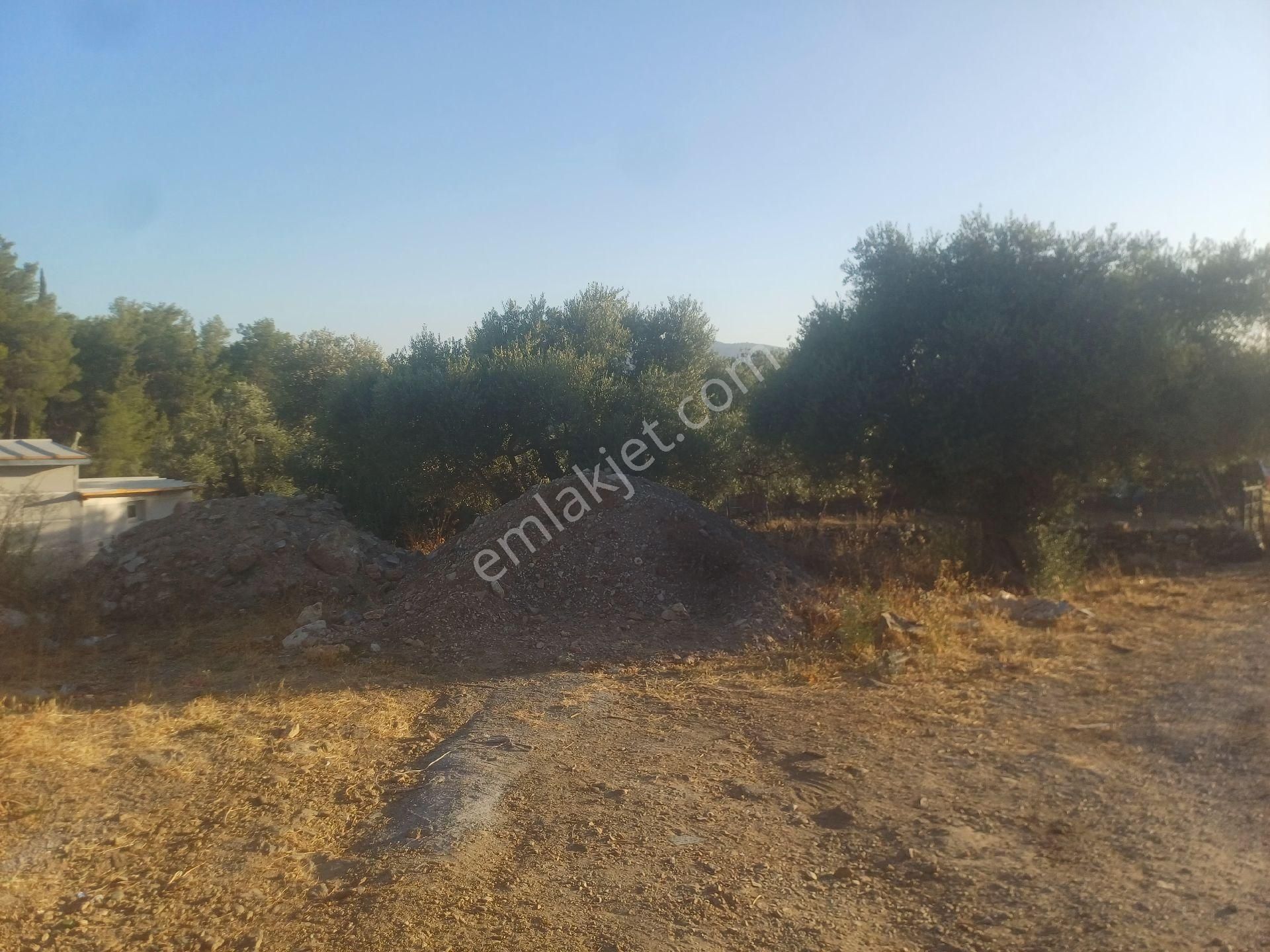 Milas Kazikli Mahallesinde Konut+ticari İmarlı Arsa - Görsel 7