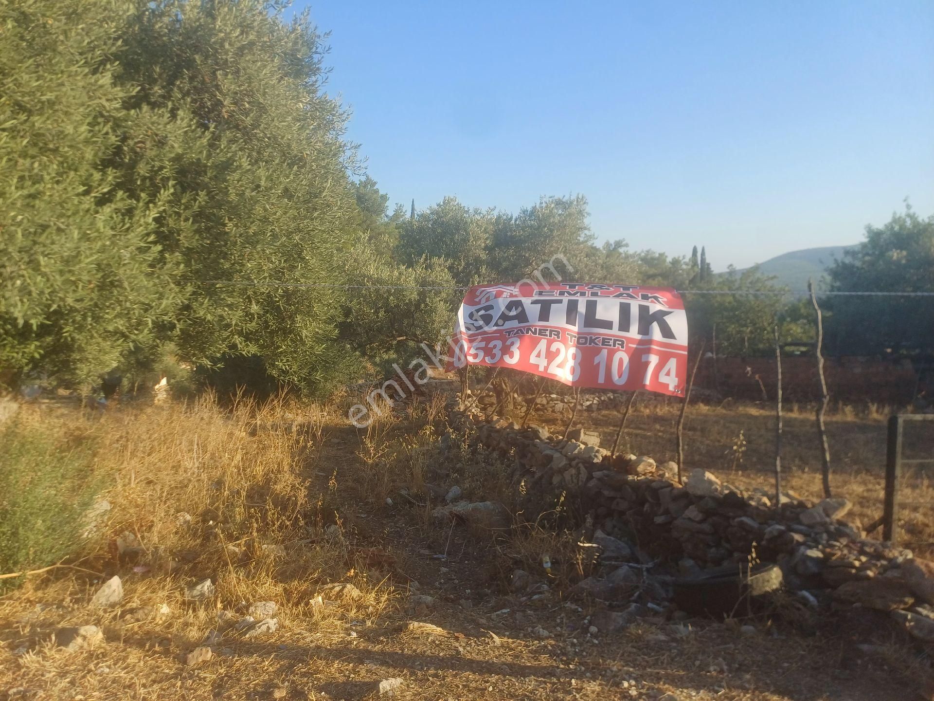 Milas Kazikli Mahallesinde Konut+ticari İmarlı Arsa - Görsel 2