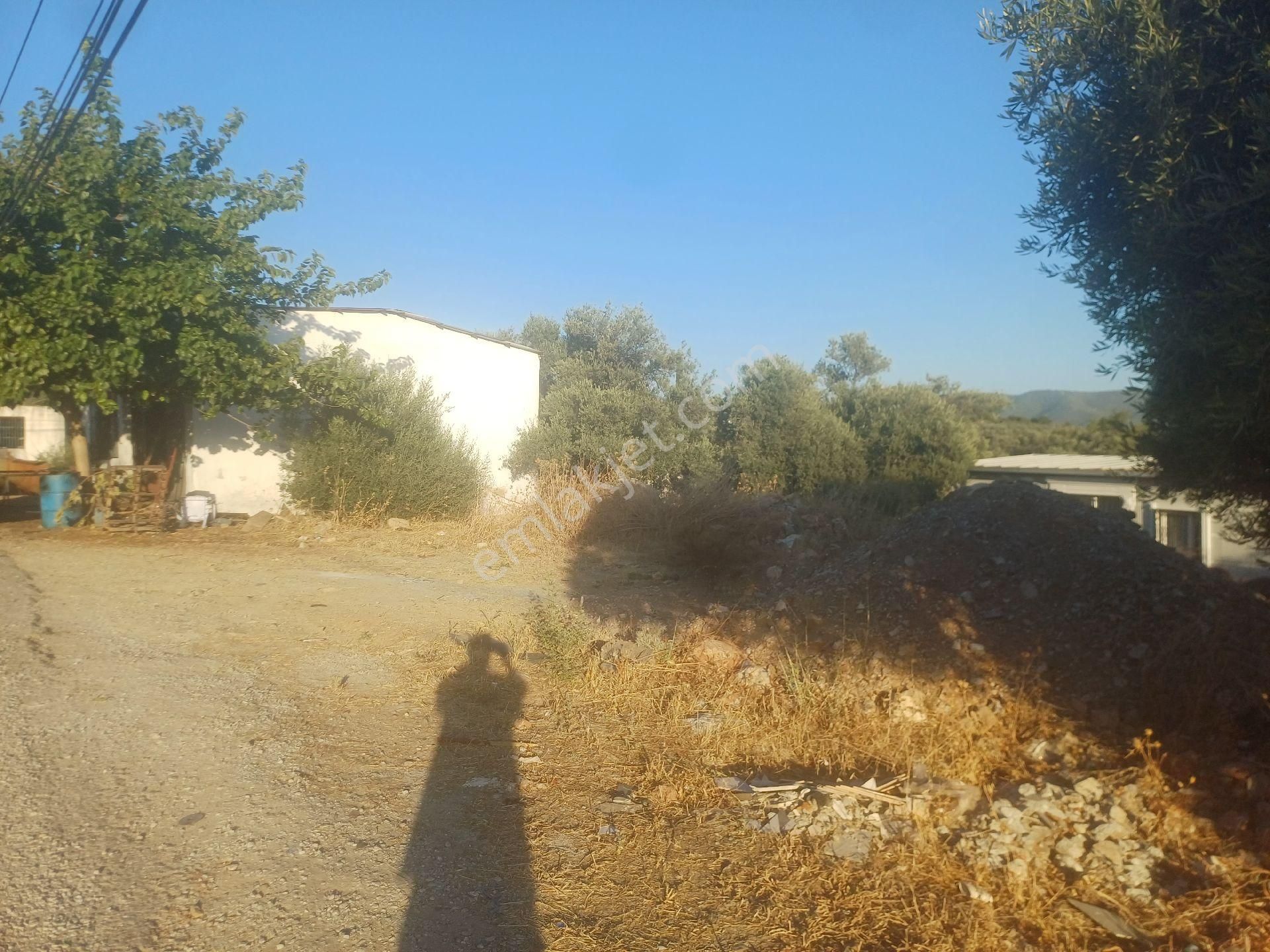 Milas Kazikli Mahallesinde Konut+ticari İmarlı Arsa - Görsel 17