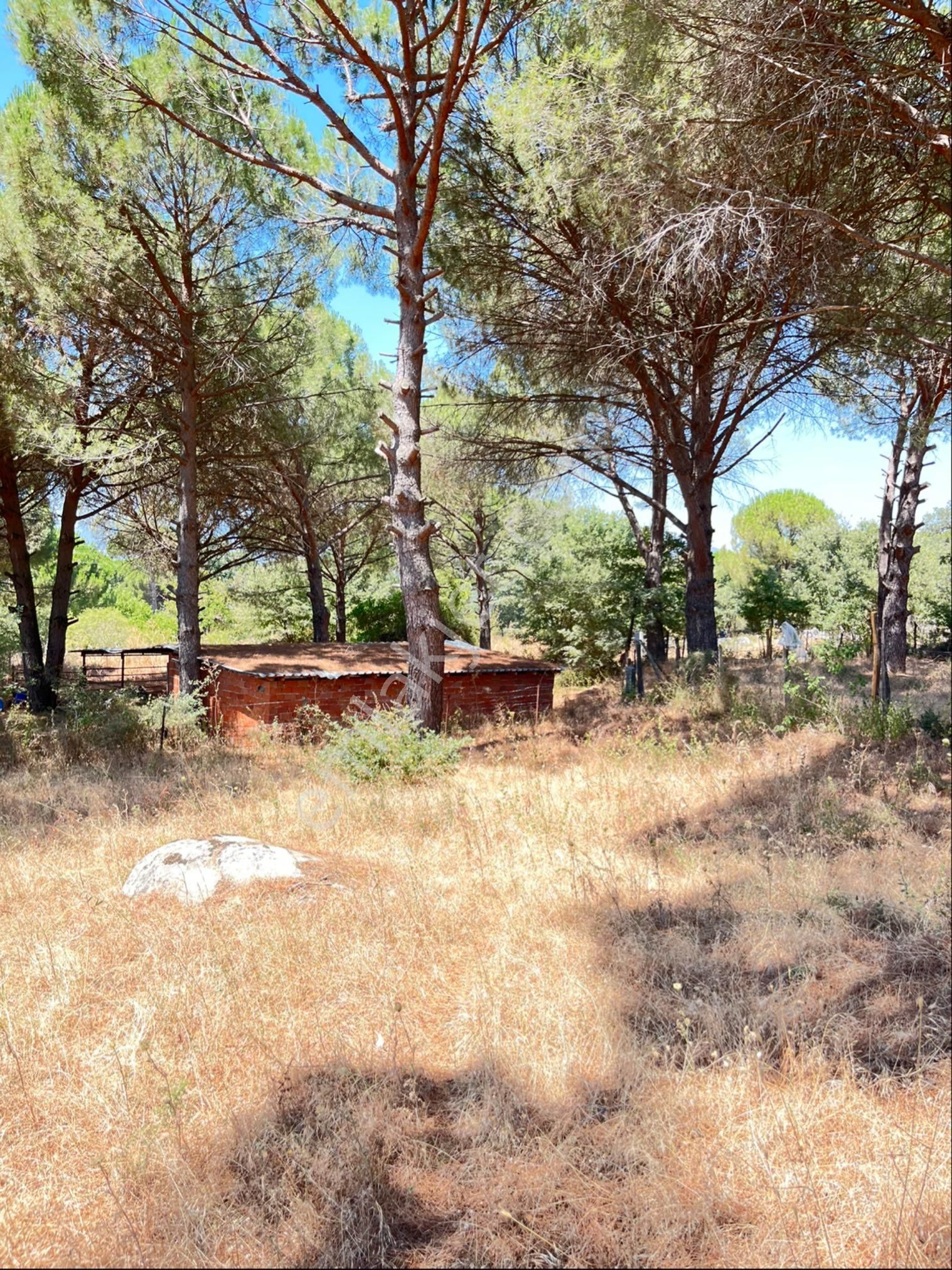 Kozak Yaylasının En Çok Prim Yapan Köyünde Müstakil Tapu Uygun Fiyatlı Arsa - Görsel 4