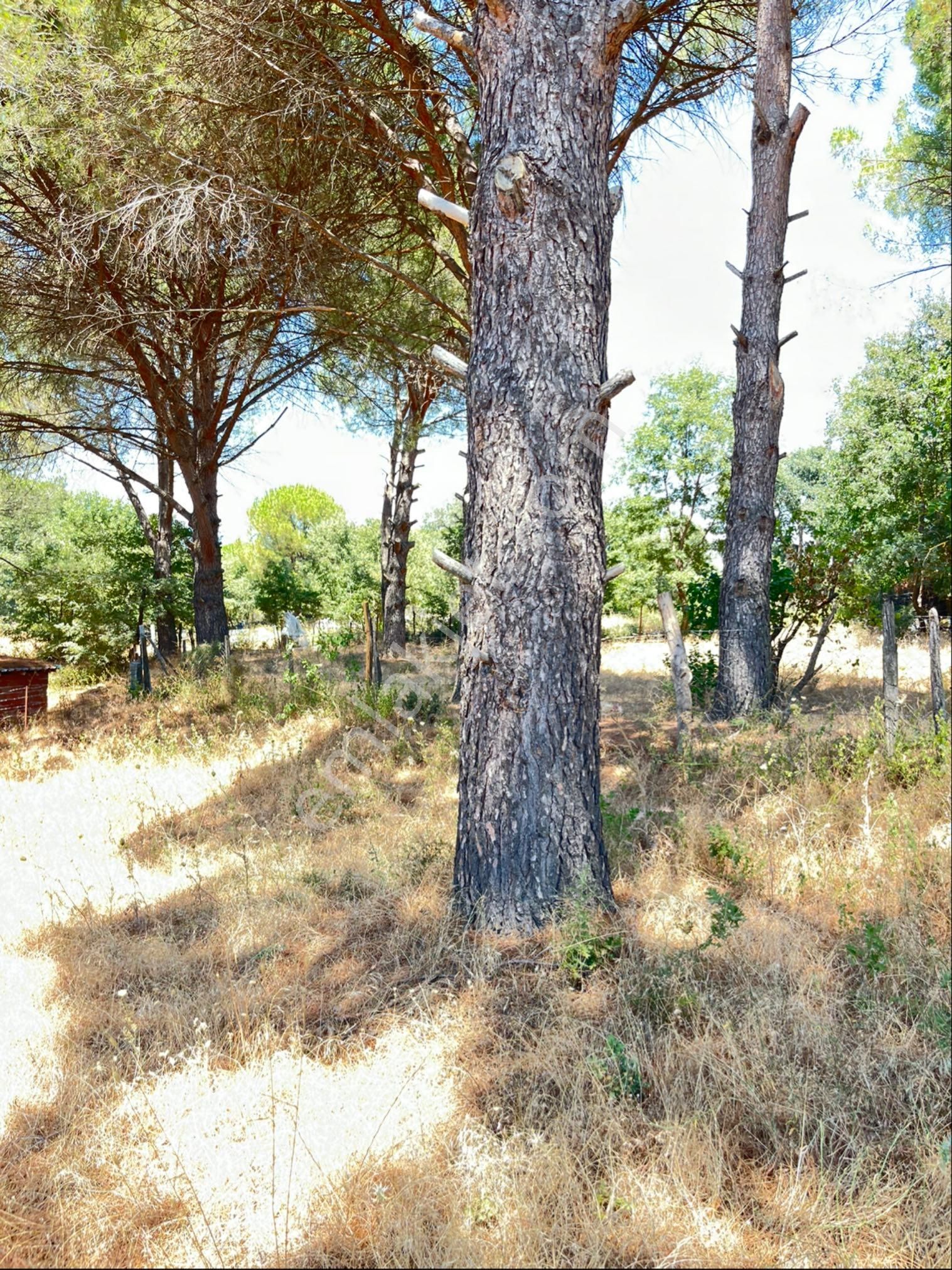 Kozak Yaylasının En Çok Prim Yapan Köyünde Müstakil Tapu Uygun Fiyatlı Arsa - Görsel 3