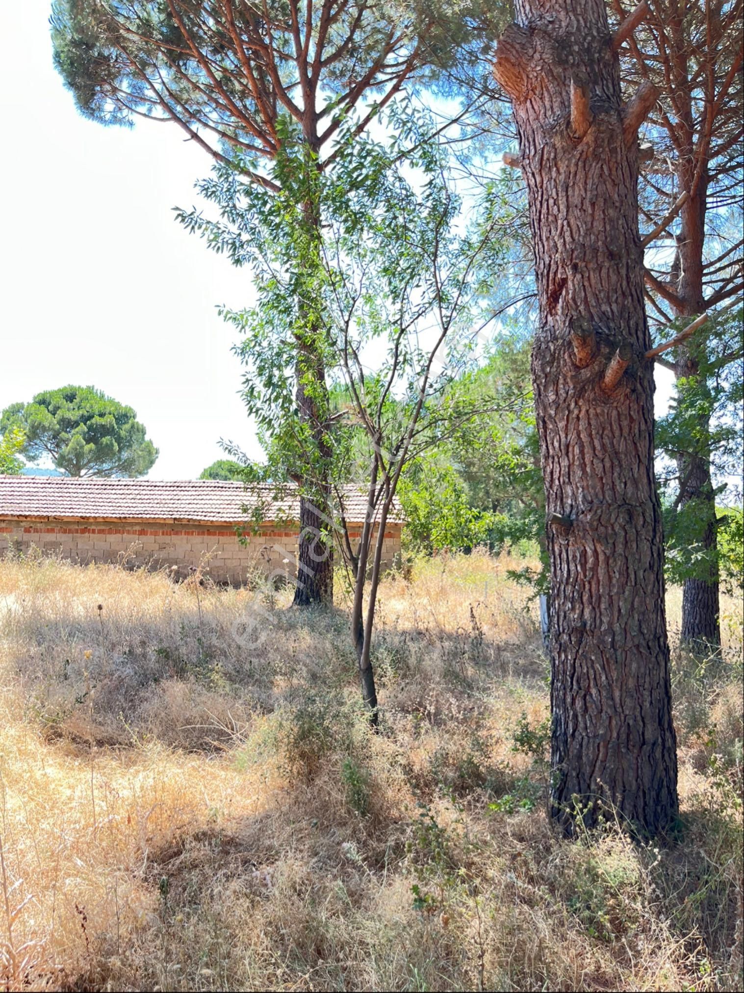 Kozak Yaylasının En Çok Prim Yapan Köyünde Müstakil Tapu Uygun Fiyatlı Arsa - Görsel 12