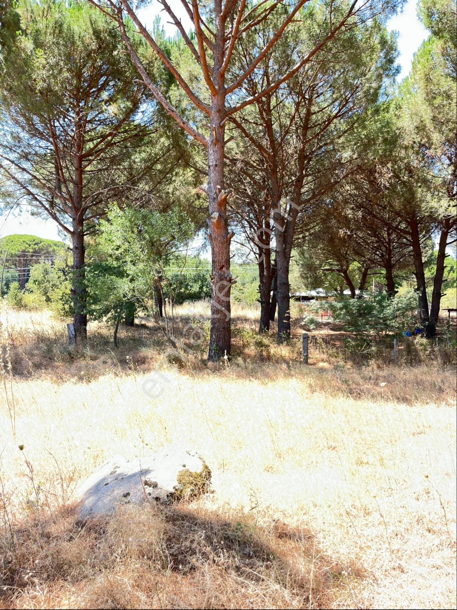 Kozak Yaylasının En Çok Prim Yapan Köyünde Müstakil Tapu Uygun Fiyatlı Arsa - Görsel 5