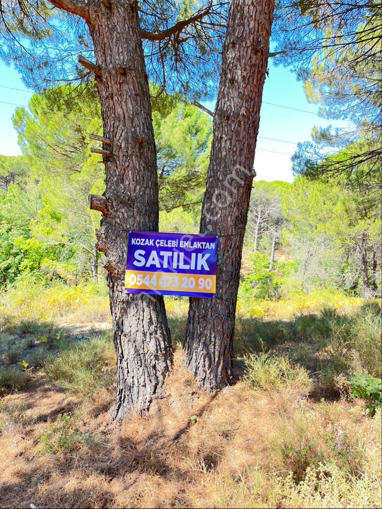 Kozak Yaylasının En Çok Prim Yapan Köyünde Müstakil Tapu Uygun Fiyatlı Arsa - Görsel 14