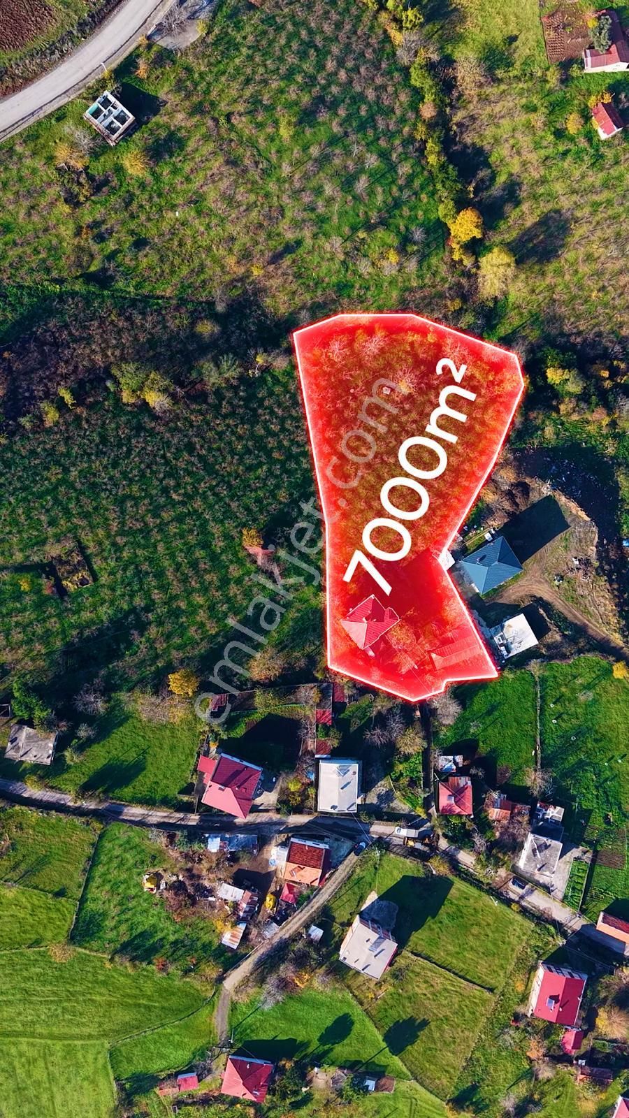 Truva'dan Taflan'da Evi Hazır,tamamı Fındık, Deniz Manzaralı Tarla - Görsel 5