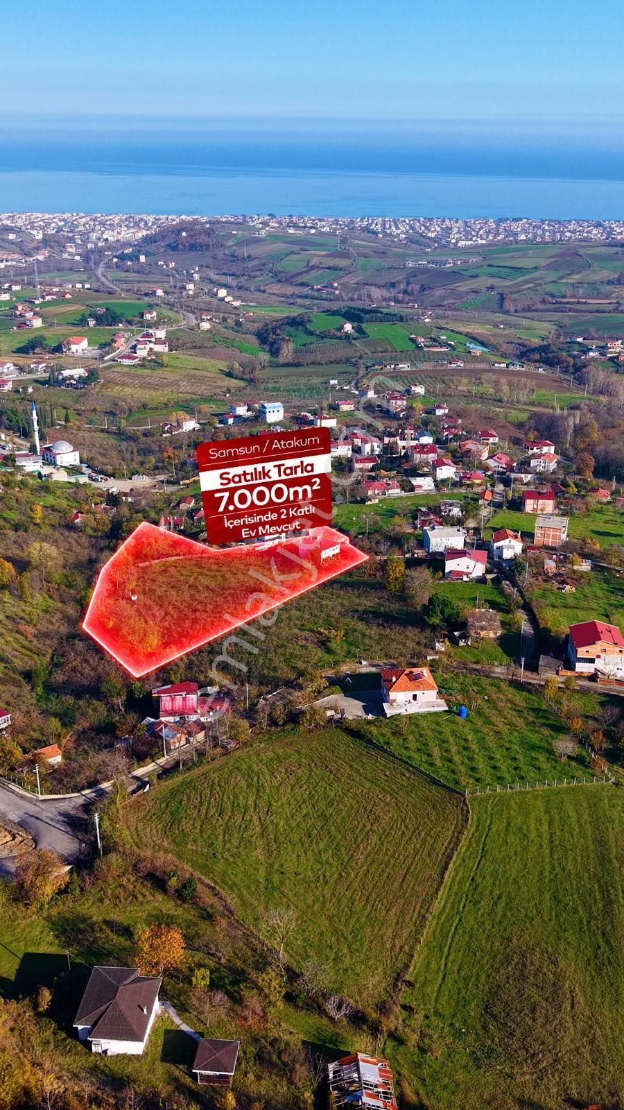 Truva'dan Taflan'da Evi Hazır,tamamı Fındık, Deniz Manzaralı Tarla - Görsel 7