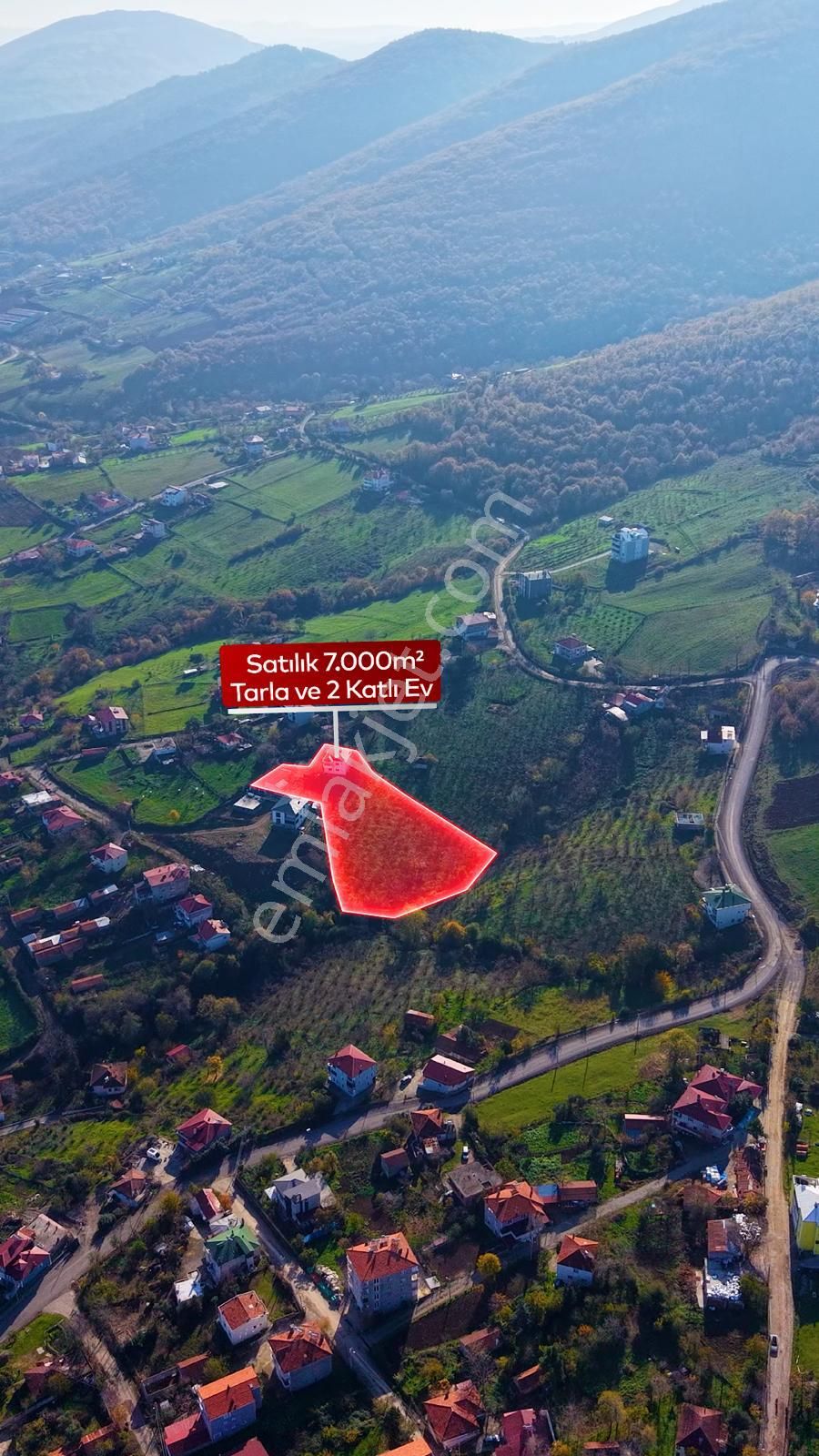 Truva'dan Taflan'da Evi Hazır,tamamı Fındık, Deniz Manzaralı Tarla - Görsel 3