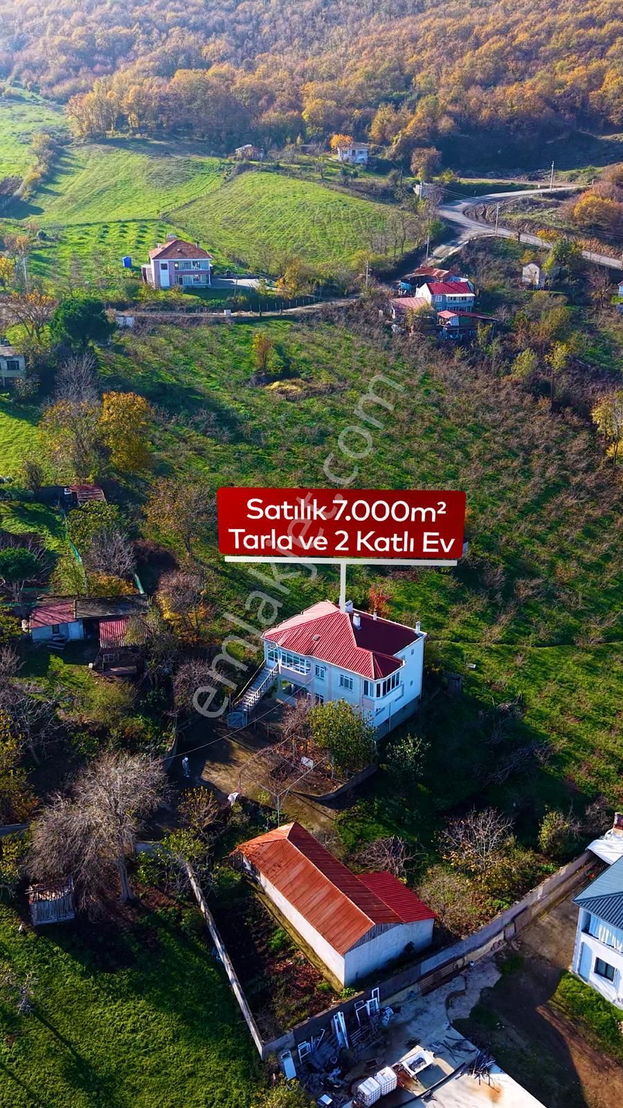 Truva'dan Taflan'da Evi Hazır,tamamı Fındık, Deniz Manzaralı Tarla - Görsel 2