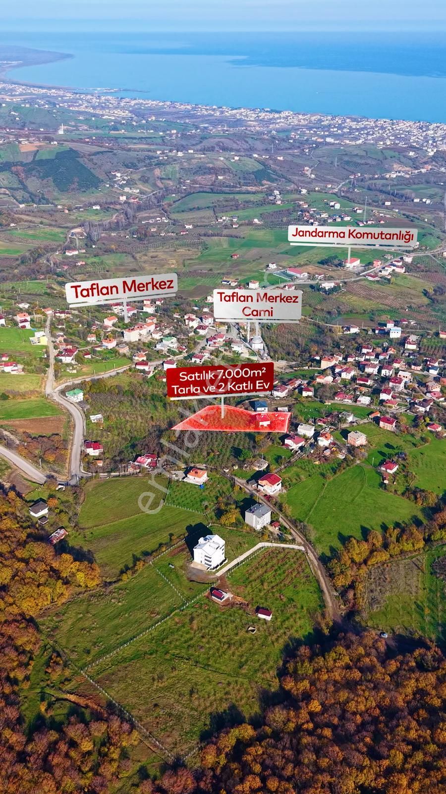 Truva'dan Taflan'da Evi Hazır,tamamı Fındık, Deniz Manzaralı Tarla