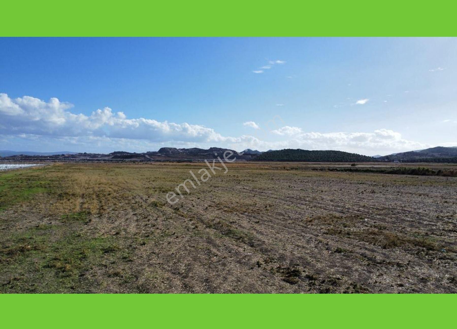 İzmir Dikili Seracılık _tsb_ Bölgesinde Satılık 65_bin_m2 Arazi - Görsel 8