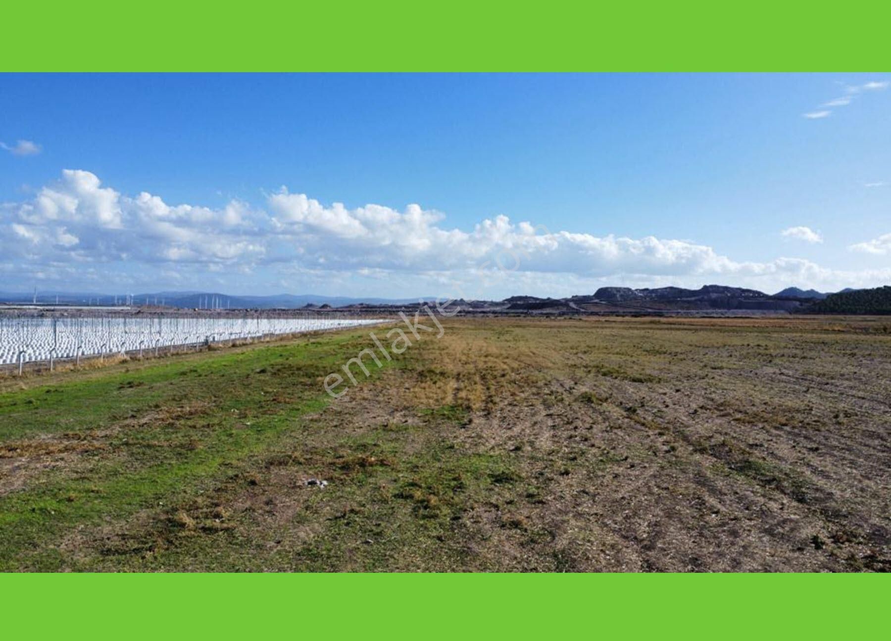 İzmir Dikili Seracılık _tsb_ Bölgesinde Satılık 65_bin_m2 Arazi - Görsel 4