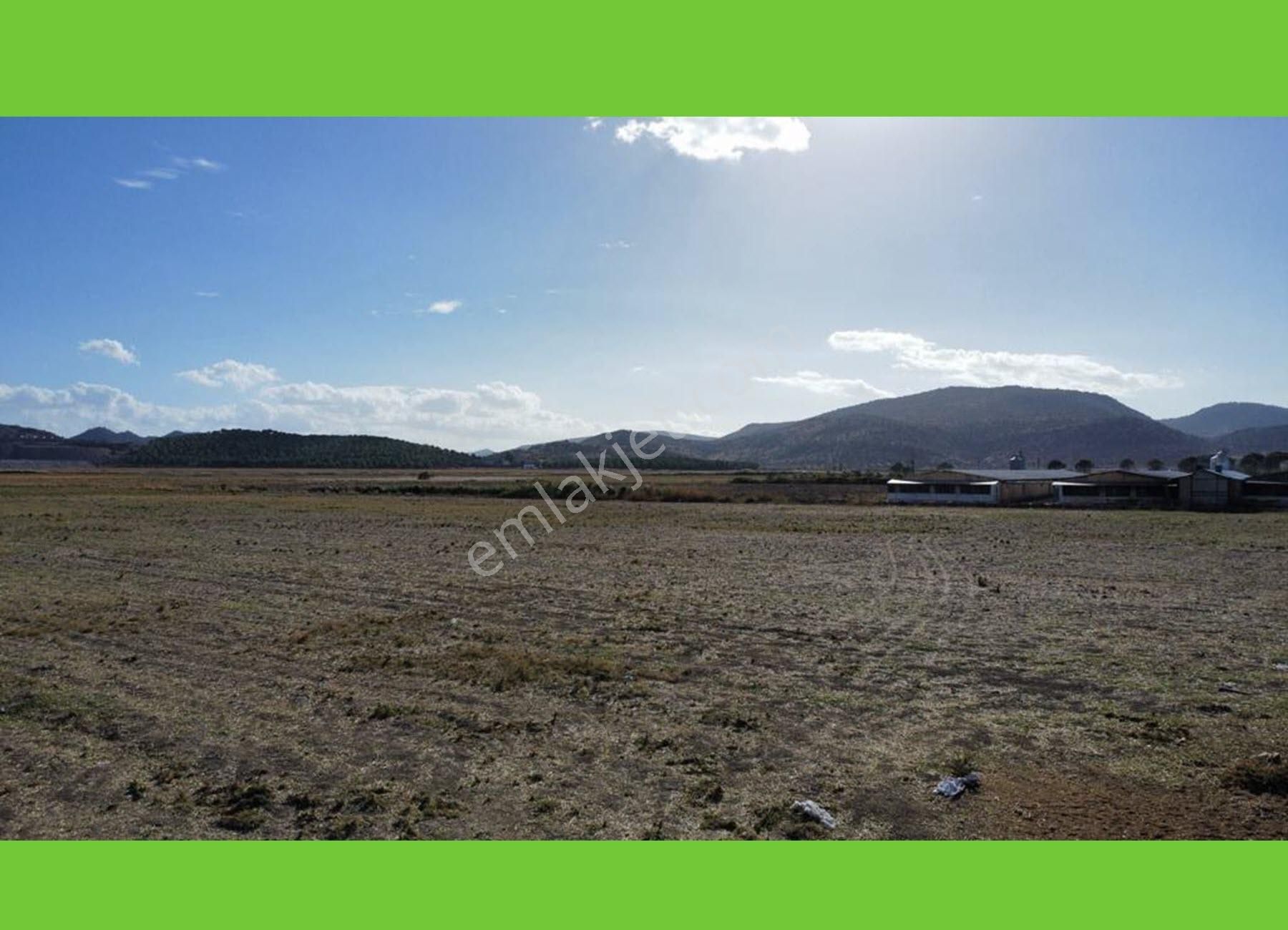 İzmir Dikili Seracılık _tsb_ Bölgesinde Satılık 65_bin_m2 Arazi - Görsel 5