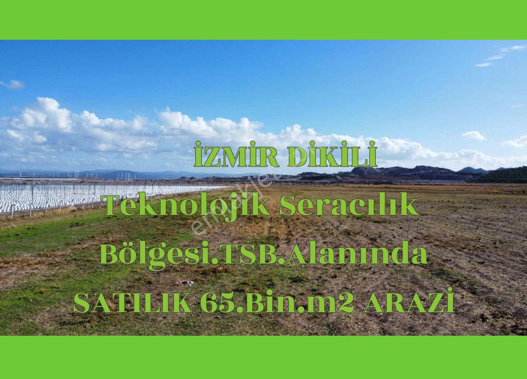 İzmir Dikili Seracılık _tsb_ Bölgesinde Satılık 65_bin_m2 Arazi