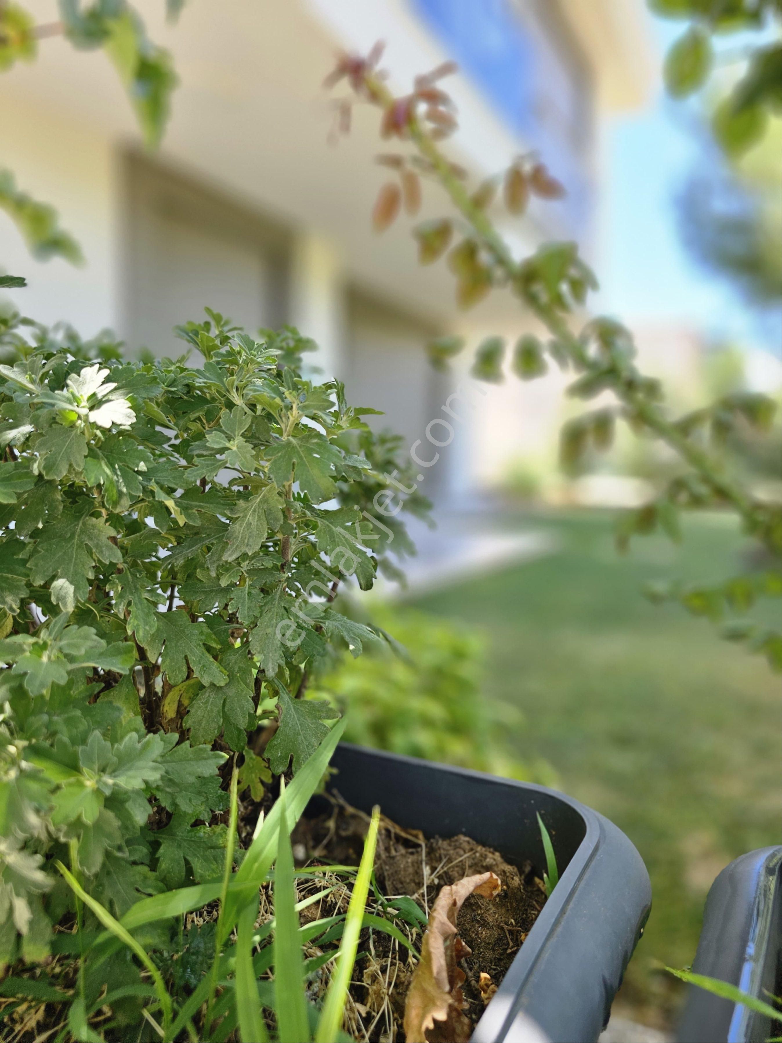 Denizli Şemikler Mevki 3 Katlı Müstakil Bina - Görsel 7