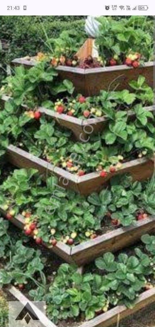 My Ekipdentam Yatırımlık İmarlı Arsa Başkent Ankara Polatlı Da Hemde Bu Fiyata Geleceği Bugün Al ... - Görsel 34