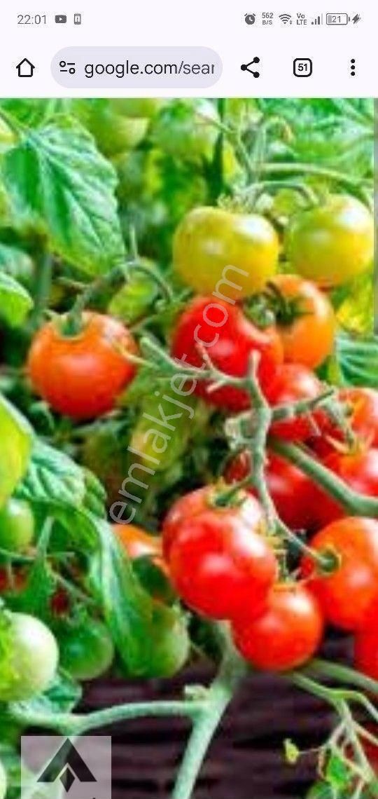 My Ekipdentam Yatırımlık İmarlı Arsa Başkent Ankara Polatlı Da Hemde Bu Fiyata Geleceği Bugün Al ... - Görsel 22