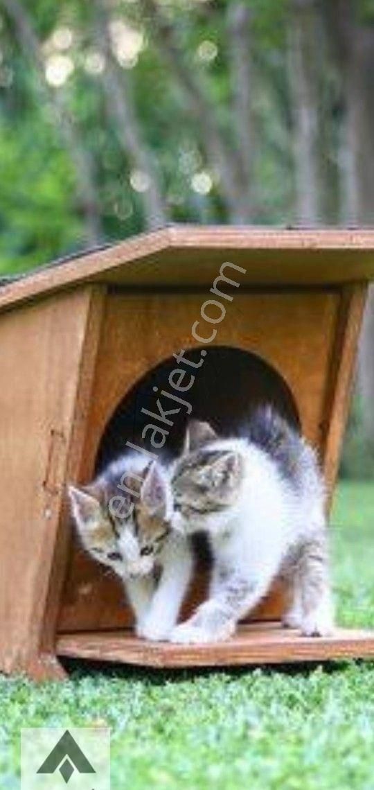 My Ekipdentam Yatırımlık İmarlı Arsa Başkent Ankara Polatlı Da Hemde Bu Fiyata Geleceği Bugün Al ... - Görsel 29