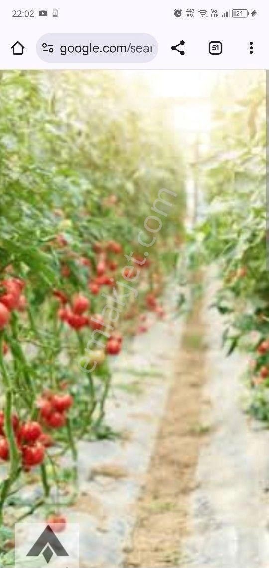 My Ekipdentam Yatırımlık İmarlı Arsa Başkent Ankara Polatlı Da Hemde Bu Fiyata Geleceği Bugün Al ... - Görsel 14