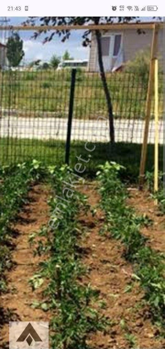 My Ekipdentam Yatırımlık İmarlı Arsa Başkent Ankara Polatlı Da Hemde Bu Fiyata Geleceği Bugün Al ... - Görsel 13