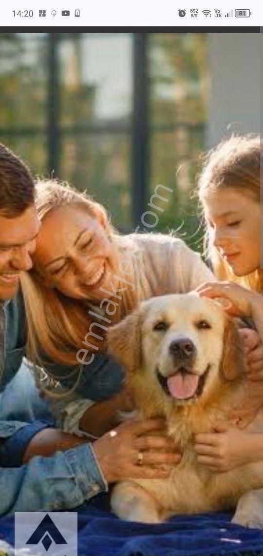 My Ekipdentam Yatırımlık İmarlı Arsa Başkent Ankara Polatlı Da Hemde Bu Fiyata Geleceği Bugün Al ... - Görsel 19