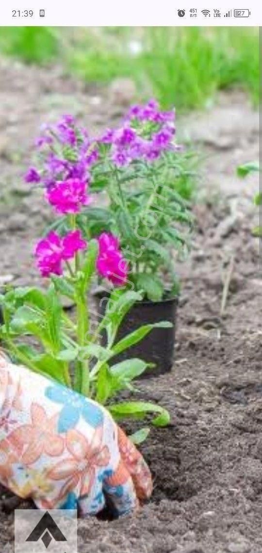 My Ekipdentam Yatırımlık İmarlı Arsa Başkent Ankara Polatlı Da Hemde Bu Fiyata Geleceği Bugün Al ... - Görsel 25