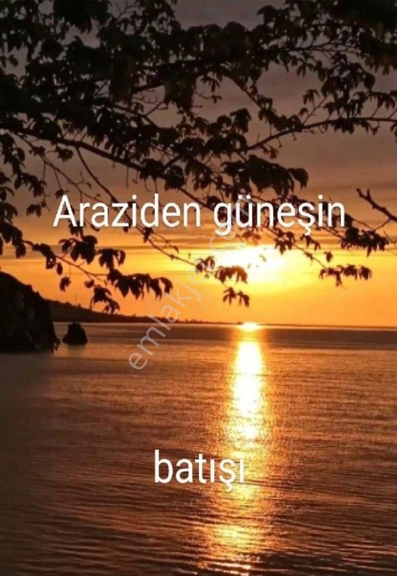 Perşembe Ramazan Mah. 10 Adet Bungola Yapımına Uygun İmarlı Bahçe - Görsel 2