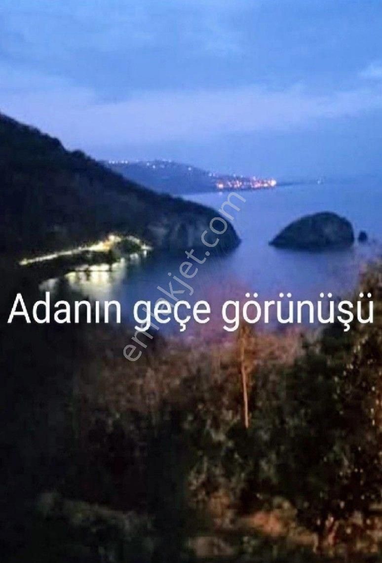Perşembe Ramazan Mah. 10 Adet Bungola Yapımına Uygun İmarlı Bahçe - Görsel 5