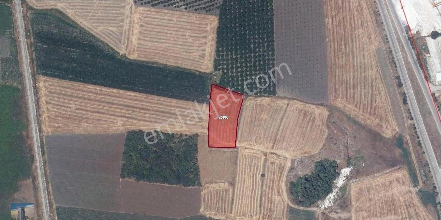 S1059 Ayhan Gezer Emlak'ta Kuşcenneti Köyünde 4300m2 Satılık Tarla