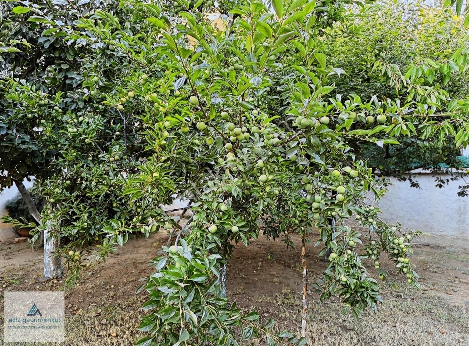 Silivri Ortaköyde 1032 M2 Satılık 8+2 Villa - Görsel 7