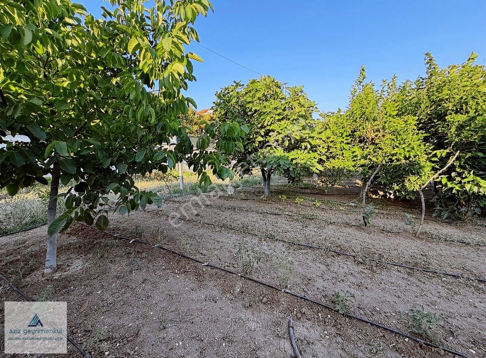 Silivri Ortaköyde 1032 M2 Satılık 8+2 Villa - Görsel 5