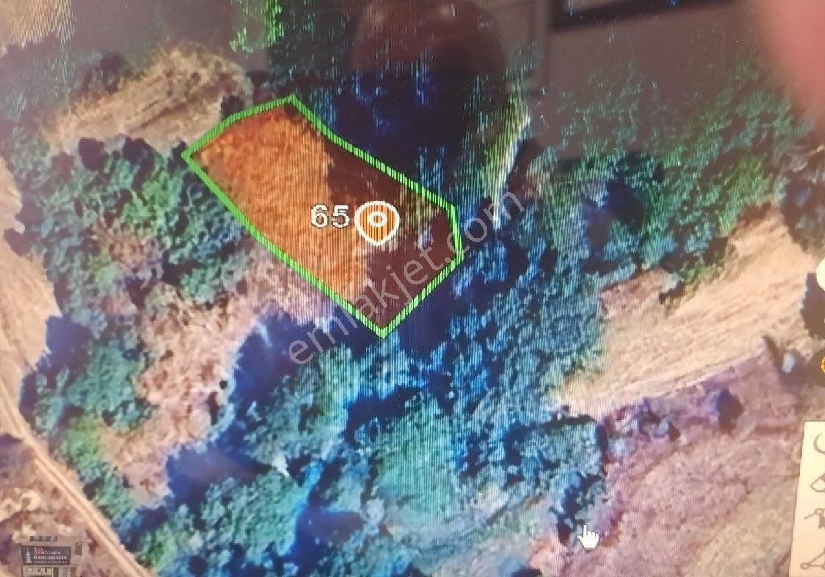 Bolu Göynük Satılık Bahçe