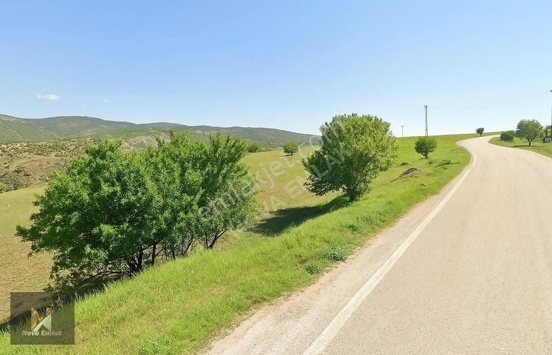 *nova* Harput'ta Asfalta Sıfır Satılık Fırsat Arazi