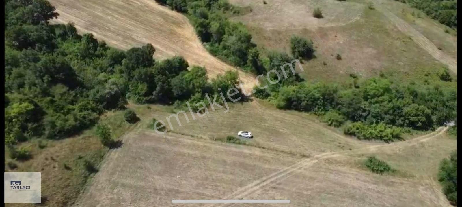 Mkp Hamidiyeköyü'nde 1100m Tarla