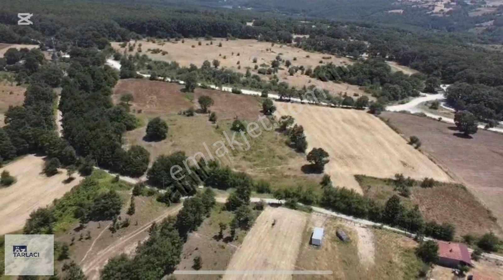 Susurluk Kalfaköy'de 954m2 Arsa