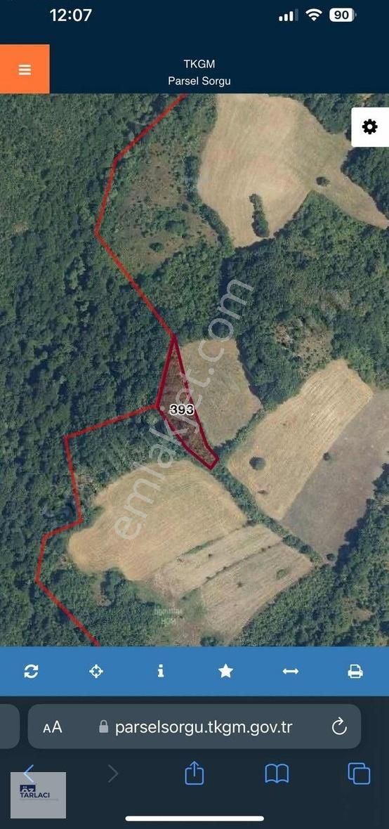Mkp Lütfiye'de 2400m Korusuyla Satılık Tarla
