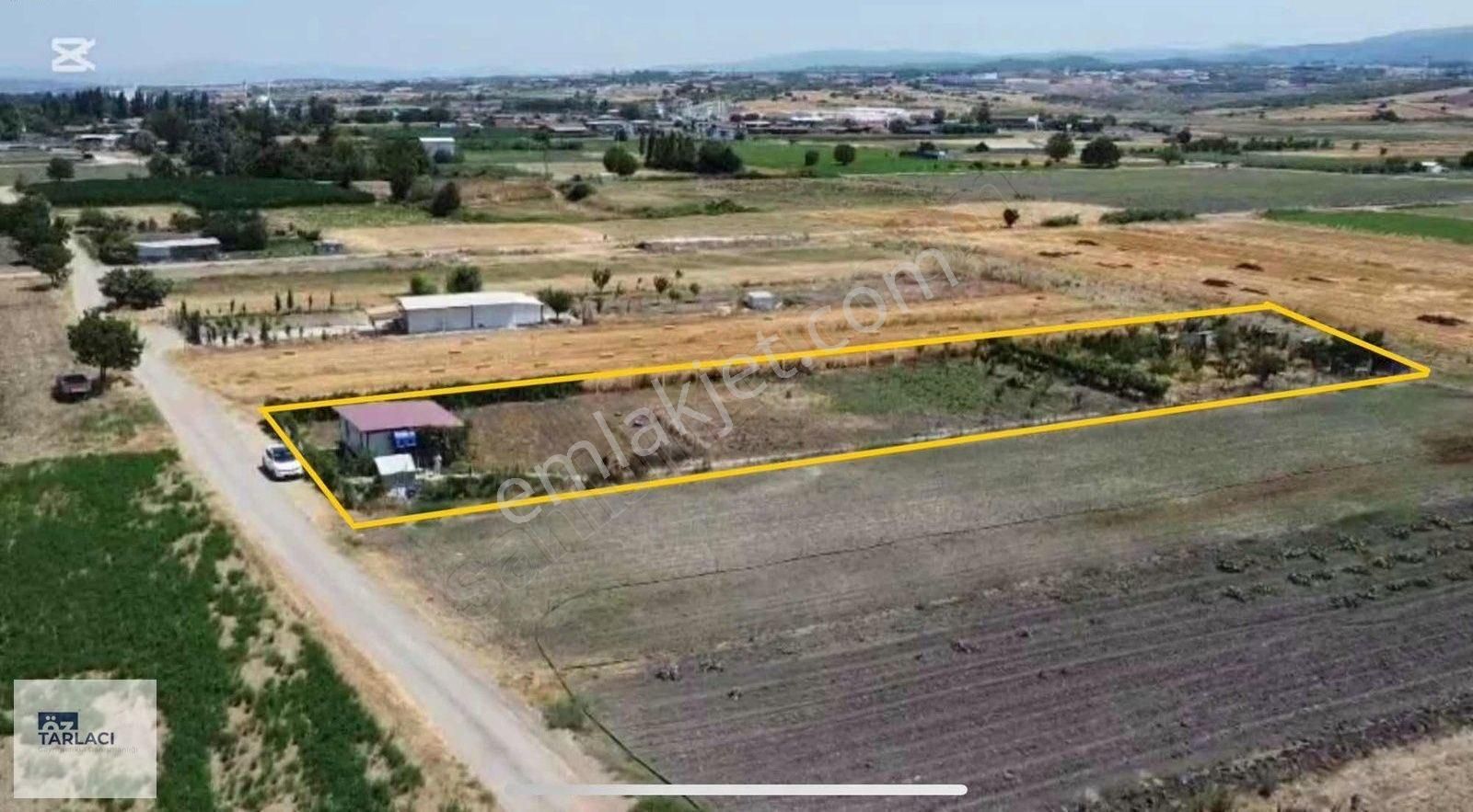 Mkp Güllüce'de 2361 M2 Tarla İcinde Konteyner Elektrik Su Var