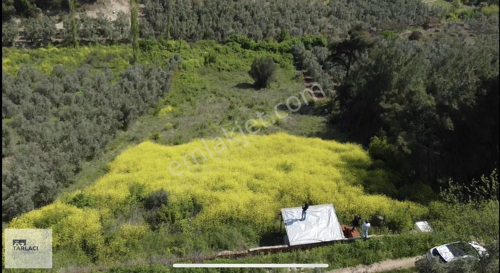 Mudanya Dereköy'de 2742m2 Tarla - Görsel 5