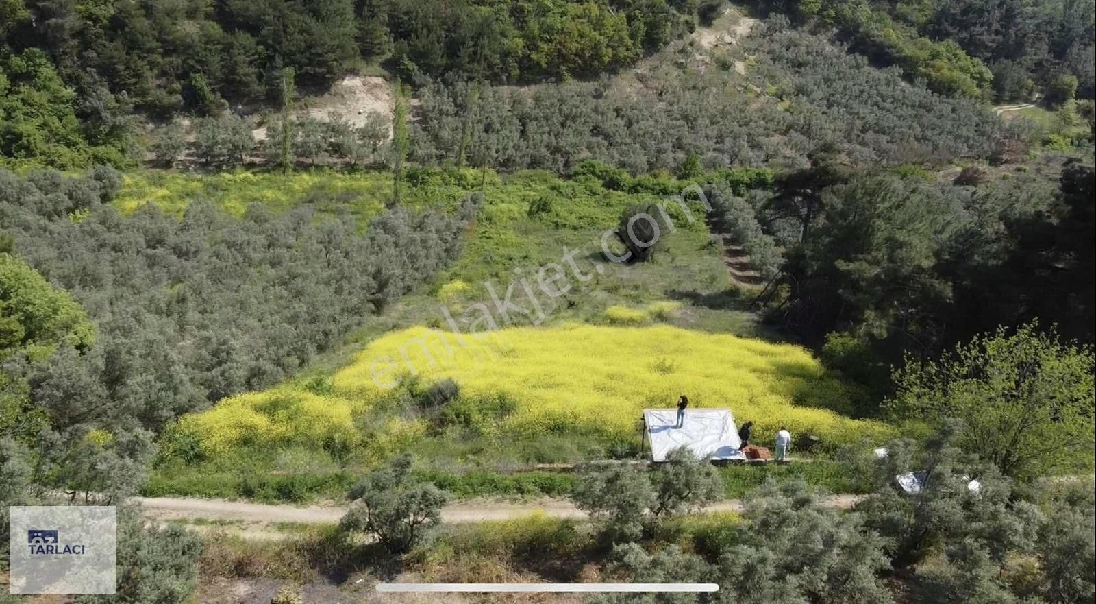 Mudanya Dereköy'de 2742m2 Tarla - Görsel 3
