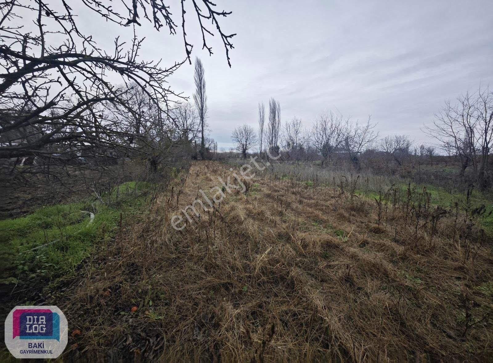 Yatırıma Uygun Fırsat! Bursa Nilüfer Hasanağada 788 M² Tarla