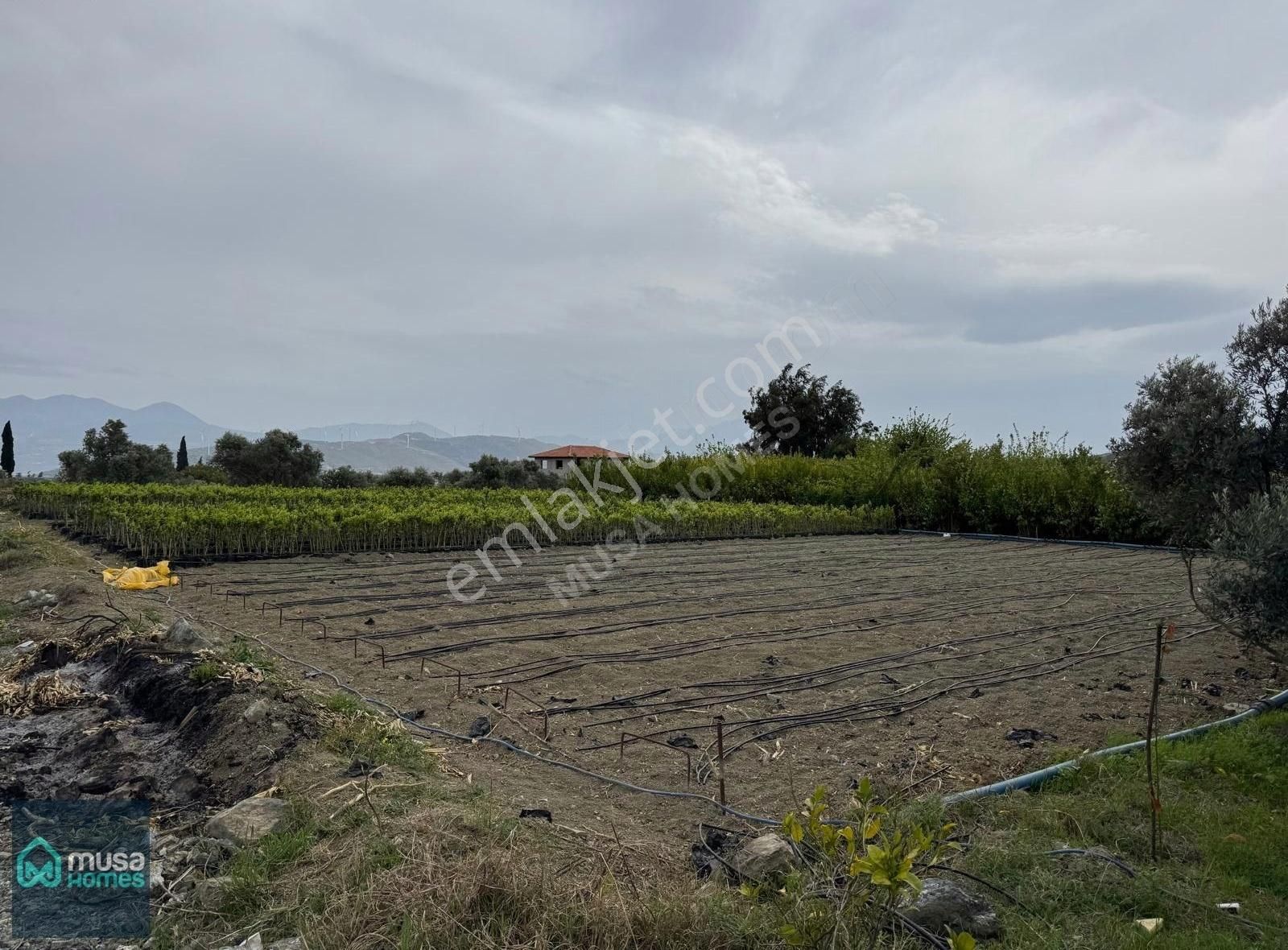 Yüksek Bölgede Belediyeden İmarlı, İfrazlı Ruhsatlı Köşe Parsel
