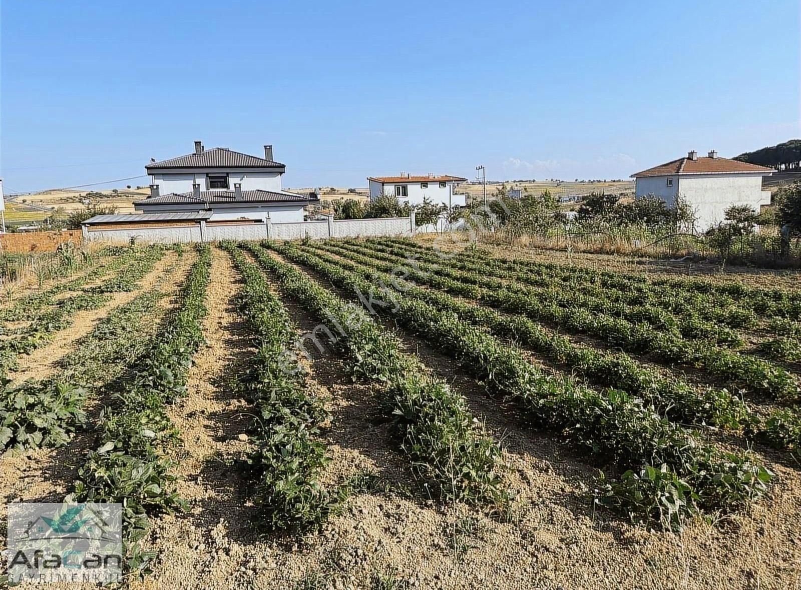 Balıkesir Merkeze Çok Yakın Yüzde 25 Taban İmarlı Harika Arsa