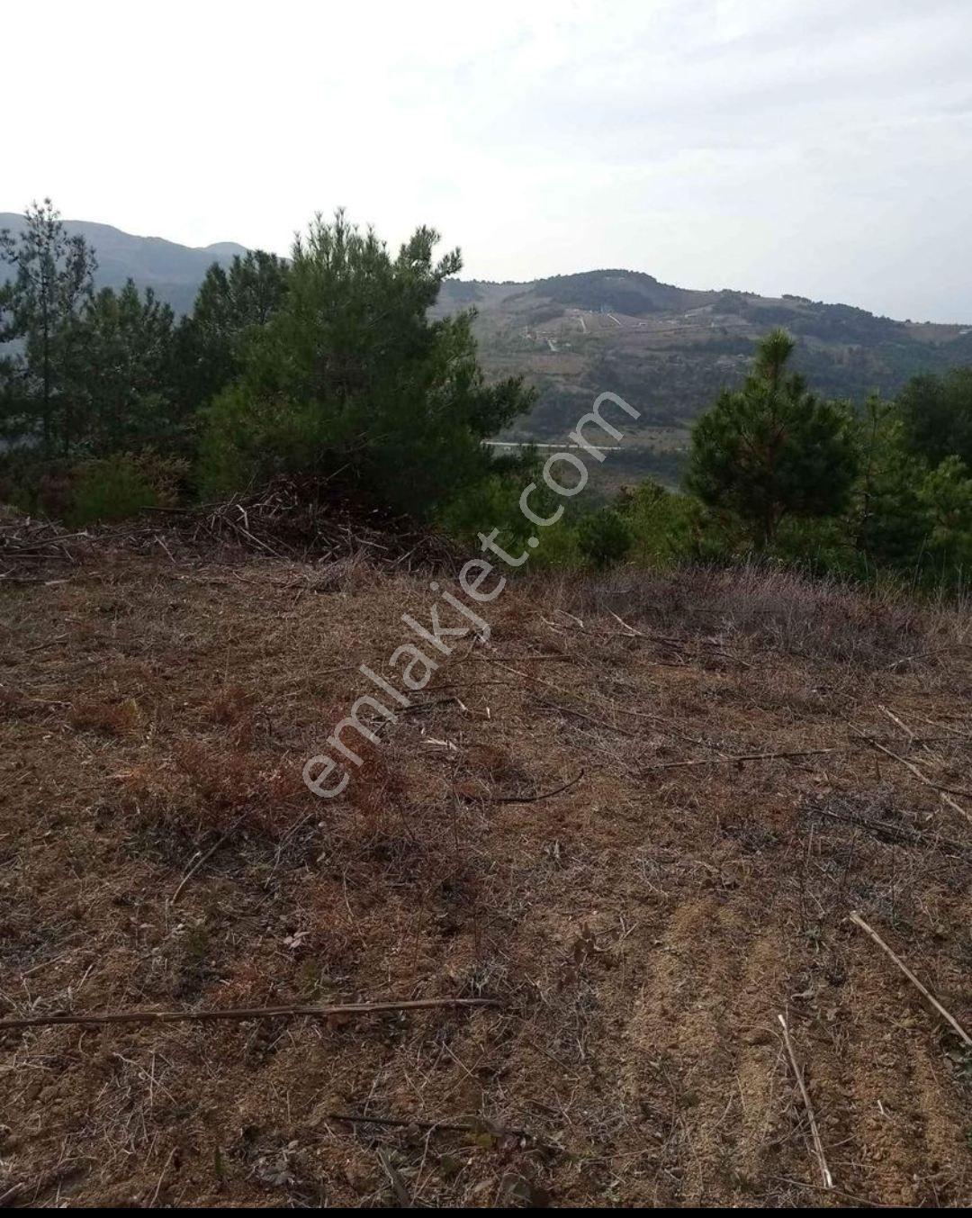 Sakarya Geyve Ahibaba Da Satılık Tarla - Görsel 8