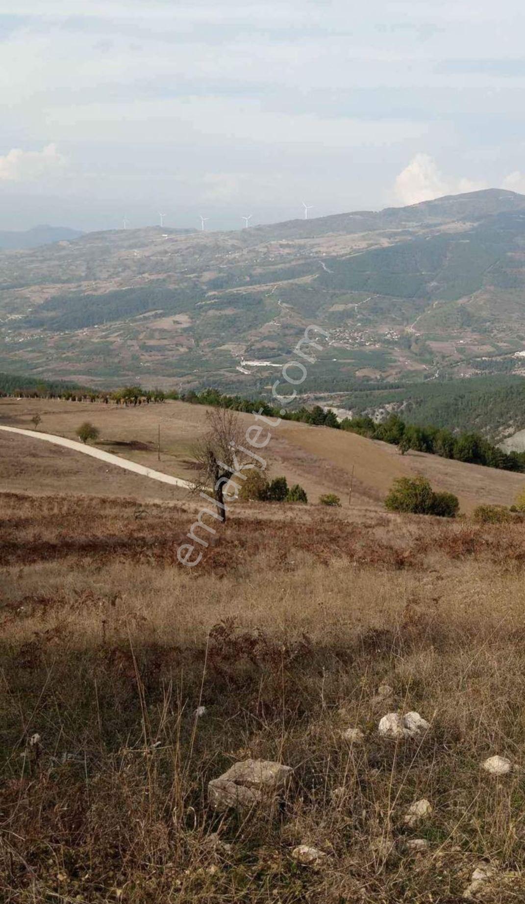 Sakarya Geyve Ahibaba Da Satılık Tarla - Görsel 7