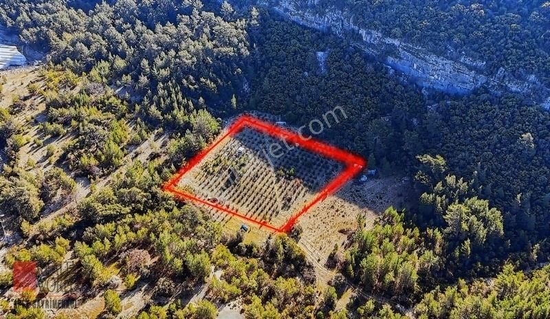 Kaş Merkeze 10 Dakika Fırsat Bahçe (su Ve Elektrik İçinde) - Görsel 6