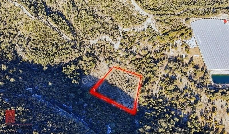 Kaş Merkeze 10 Dakika Fırsat Bahçe (su Ve Elektrik İçinde) - Görsel 4