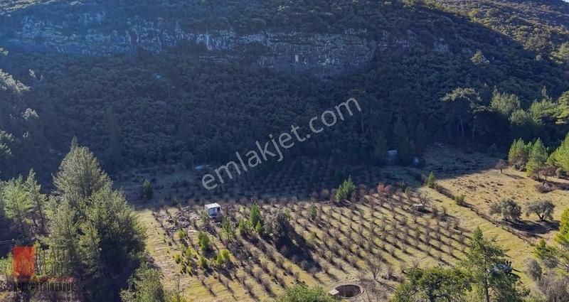 Kaş Merkeze 10 Dakika Fırsat Bahçe (su Ve Elektrik İçinde) - Görsel 3