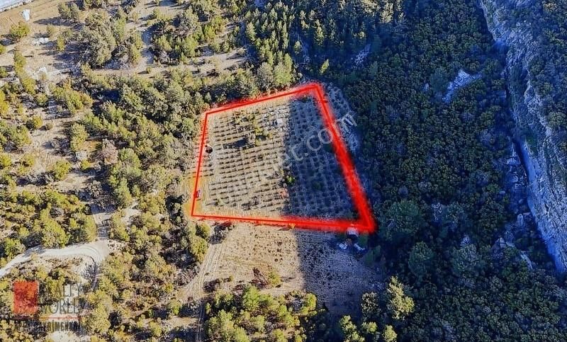 Kaş Merkeze 10 Dakika Fırsat Bahçe (su Ve Elektrik İçinde) - Görsel 5