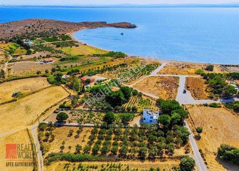 Alaybey'de Sahile 140m, 1900m2 İçinde Müstakil Villa