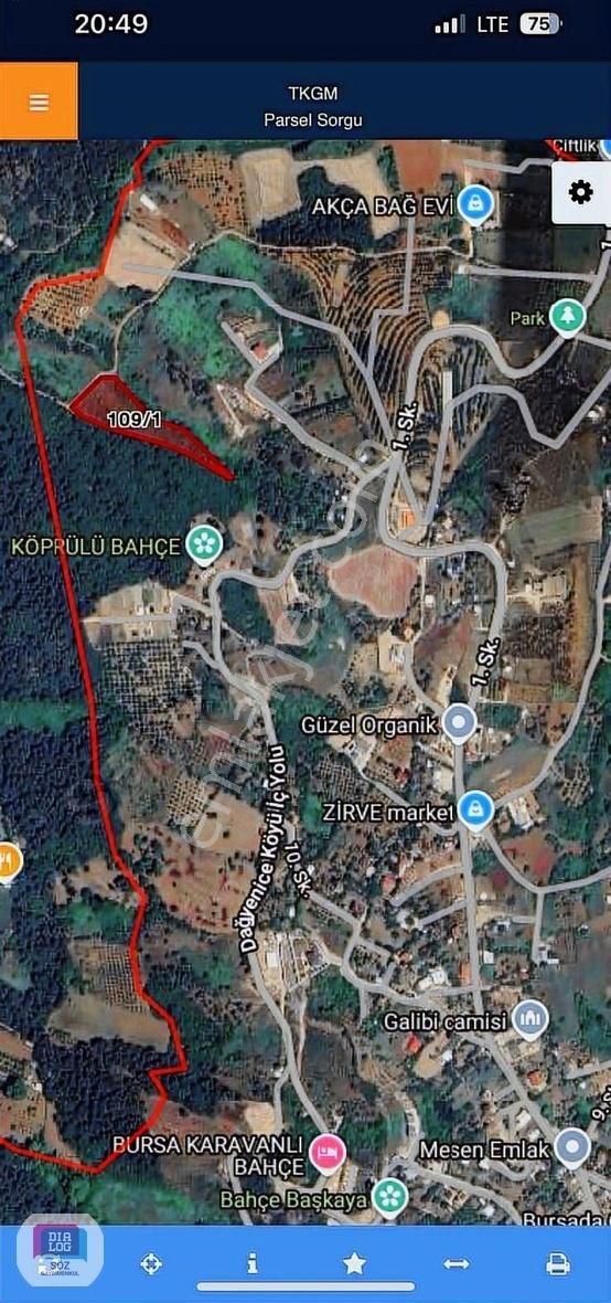 Dialog Söz'den Nilüfer Dağyenice'de Yatırma Uygun Satılık Tarla